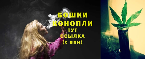 мяу мяу мука Пересвет